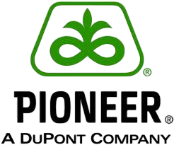 pioneer du pont photoroom